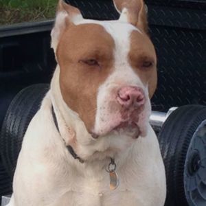 Meet your Posher, Jena